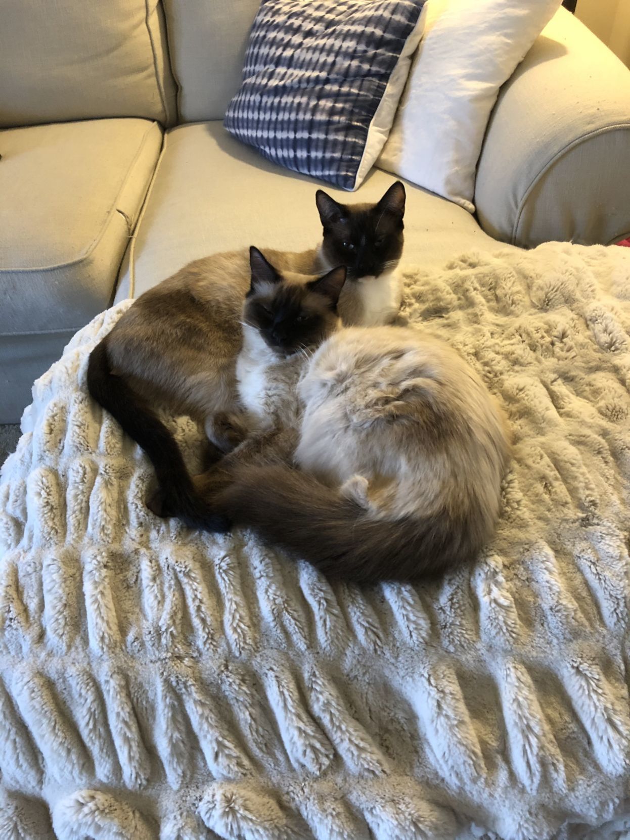 Vincent and Mia